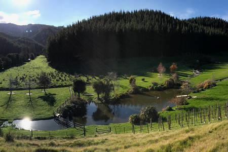 Апартаменты Castello Di Vino Бленем Экстерьер фото